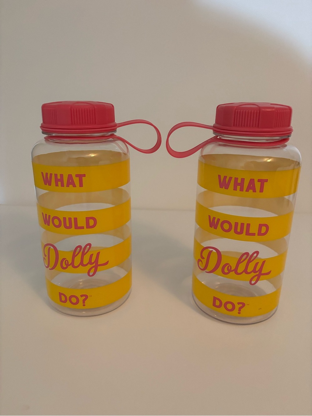 “What Would Dolly Do?” Plastic water bottle - NWT - Free with Purchase of $30+